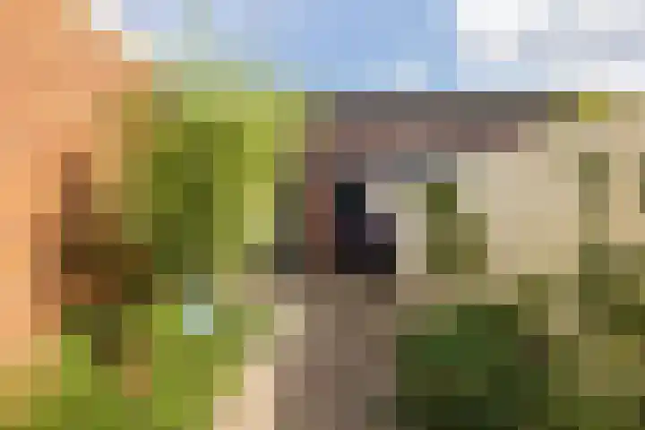 Krochtstraat 27 Hillegom thumbnail 36