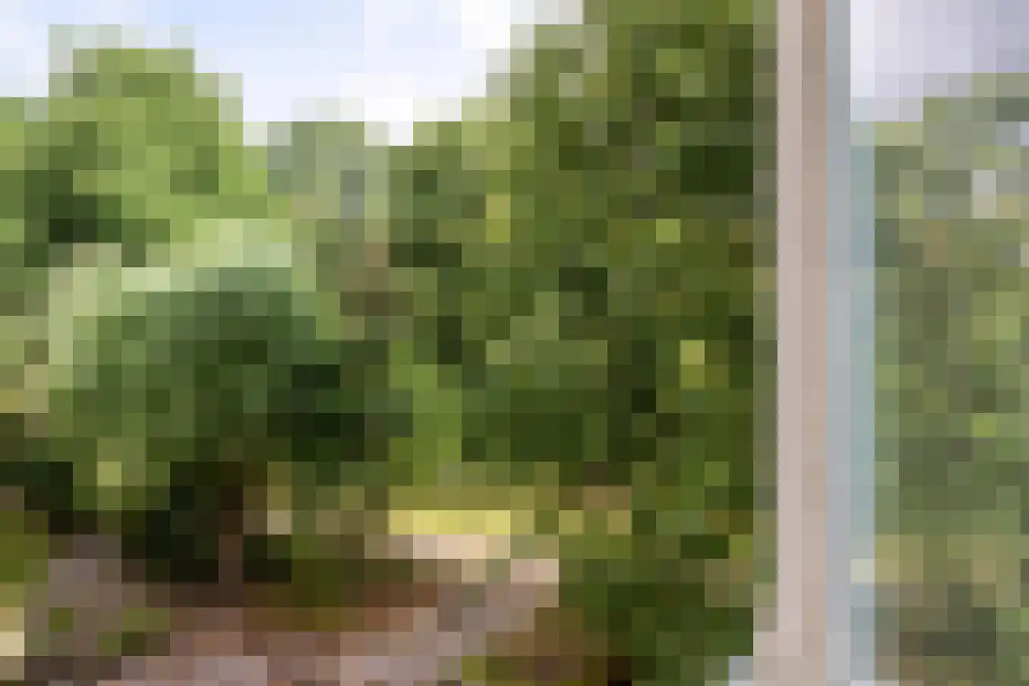 Krodde 18 Uithoorn thumbnail 37