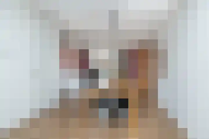 Kroepnevel 25 Zuidwolde thumbnail 16