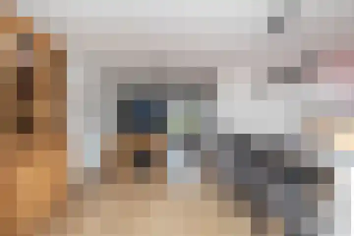 Kroepnevel 25 Zuidwolde thumbnail 18
