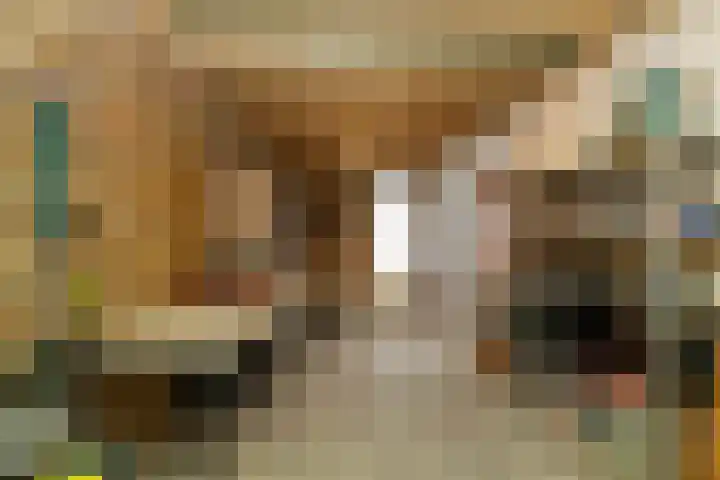 Kroepnevel 25 Zuidwolde thumbnail 28