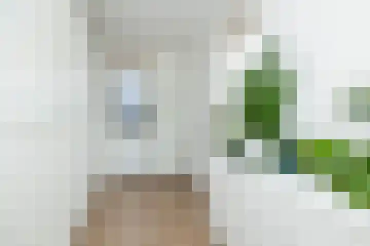 Kroepnevel 25 Zuidwolde thumbnail 39