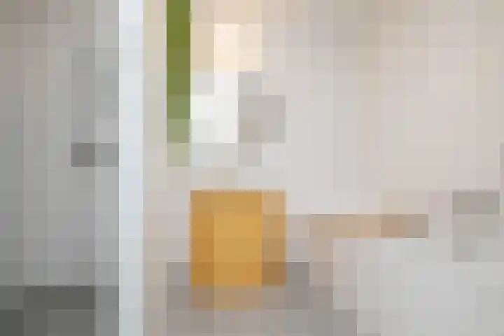 Kroepnevel 25 Zuidwolde thumbnail 41