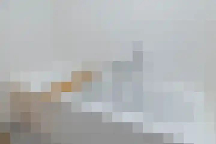 Kroepnevel 25 Zuidwolde thumbnail 42