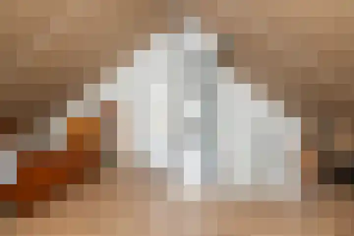 Kroepnevel 25 Zuidwolde thumbnail 43