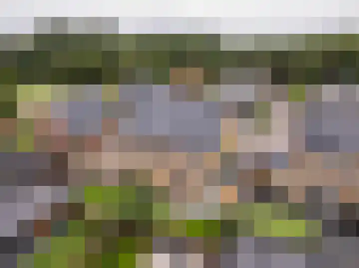 Kroepnevel 25 Zuidwolde thumbnail 47