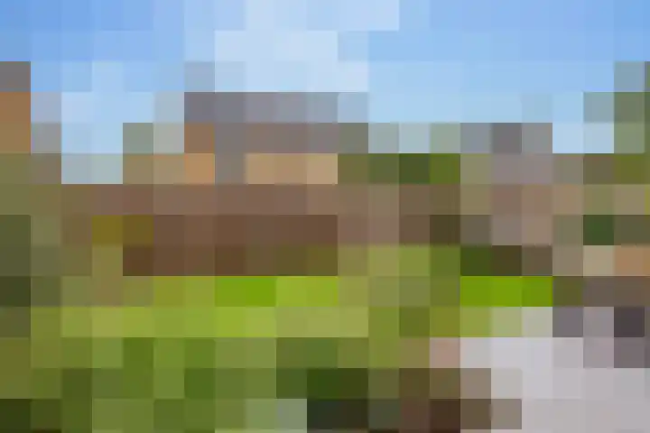 Kroepnevel 25 Zuidwolde thumbnail 49