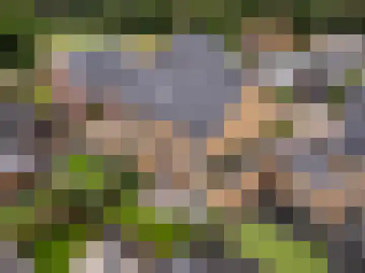 Kroepnevel 25 Zuidwolde thumbnail 5