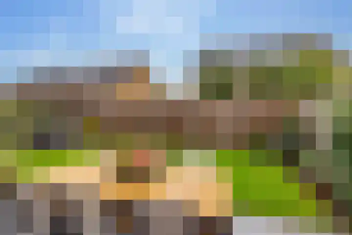 Kroepnevel 25 Zuidwolde thumbnail 51