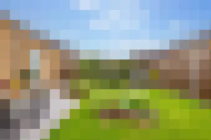 Kroepnevel 25 Zuidwolde thumbnail 52