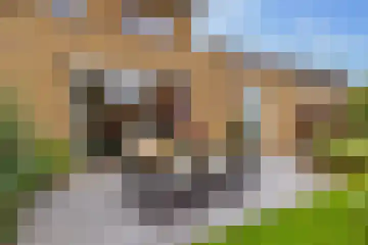 Kroepnevel 25 Zuidwolde thumbnail 53