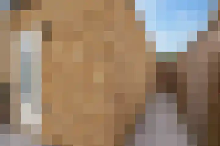 Kroepnevel 25 Zuidwolde thumbnail 54