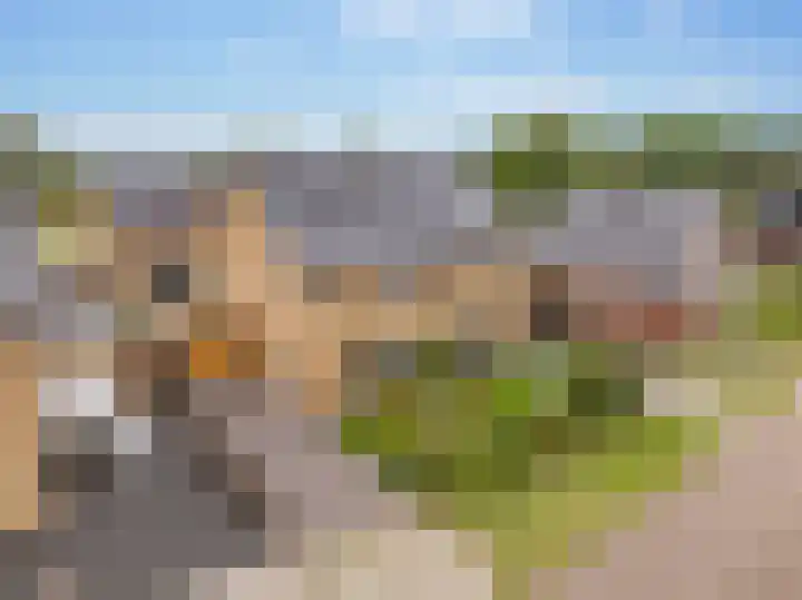 Kroepnevel 25 Zuidwolde thumbnail 6