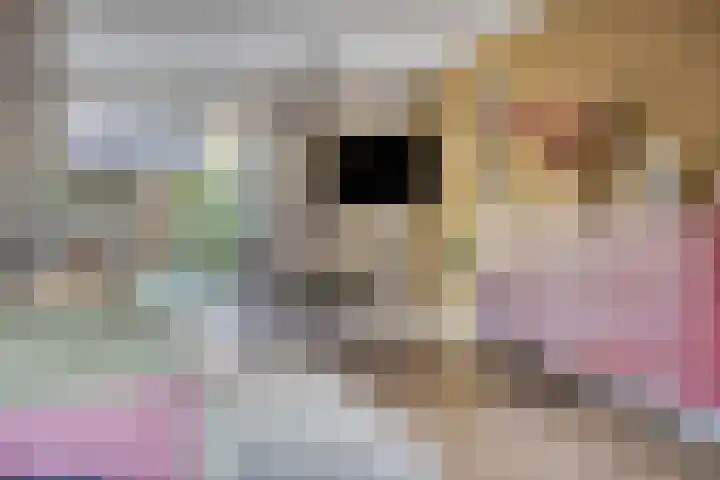 Kroepnevel 5 Zuidwolde thumbnail 10