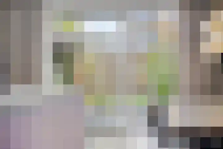 Kroepnevel 5 Zuidwolde thumbnail 12