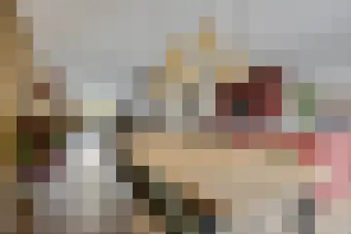 Kroepnevel 5 Zuidwolde thumbnail 13