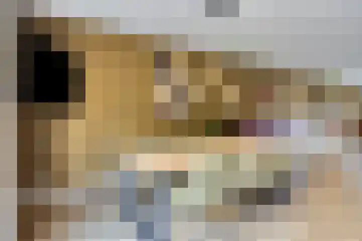 Kroepnevel 5 Zuidwolde thumbnail 14