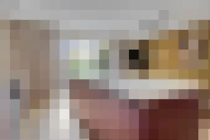 Kroepnevel 5 Zuidwolde thumbnail 18