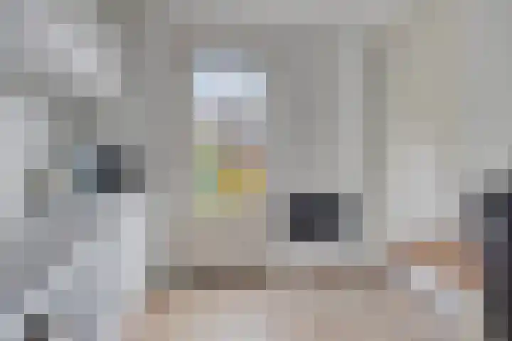 Kroepnevel 5 Zuidwolde thumbnail 22