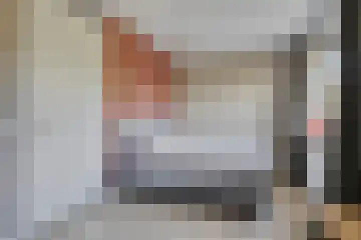 Kroepnevel 5 Zuidwolde thumbnail 27