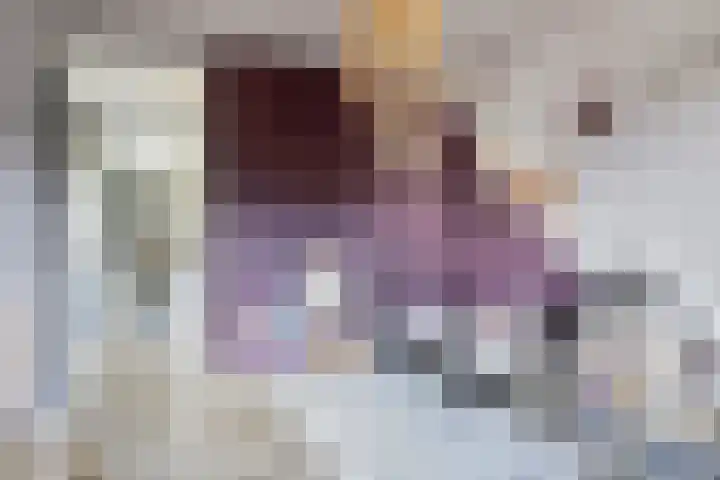 Kroepnevel 5 Zuidwolde thumbnail 30