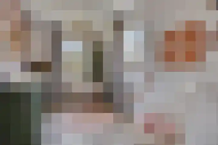 Kroepnevel 5 Zuidwolde thumbnail 31