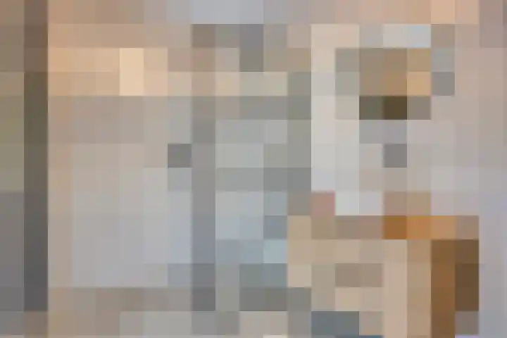 Kroepnevel 5 Zuidwolde thumbnail 33