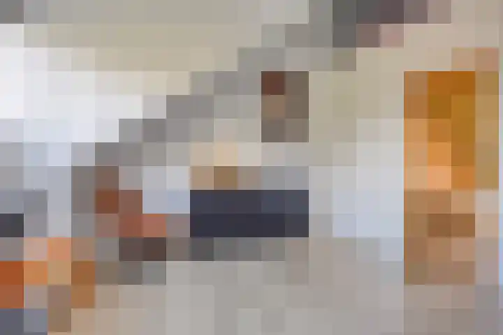 Kroepnevel 5 Zuidwolde thumbnail 37