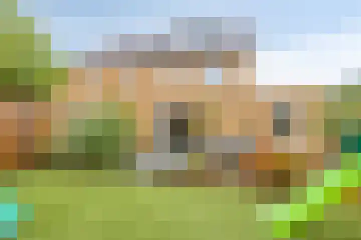 Kroepnevel 5 Zuidwolde thumbnail 41