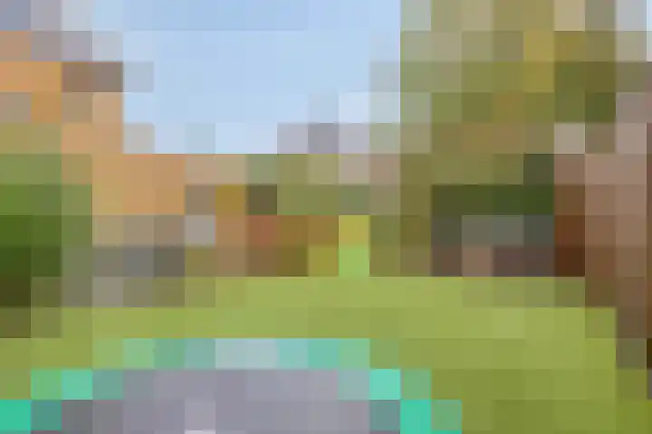 Kroepnevel 5 Zuidwolde thumbnail 42