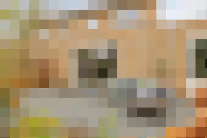 Kroepnevel 5 Zuidwolde thumbnail 43