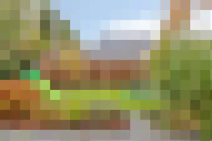 Kroepnevel 5 Zuidwolde thumbnail 44
