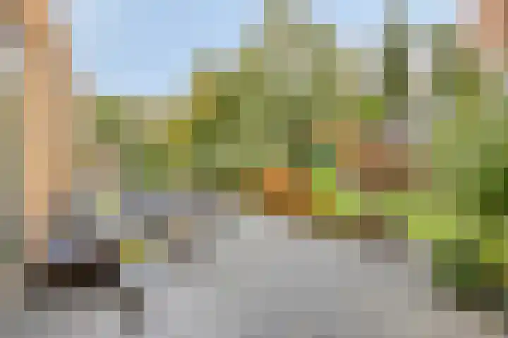 Kroepnevel 5 Zuidwolde thumbnail 45