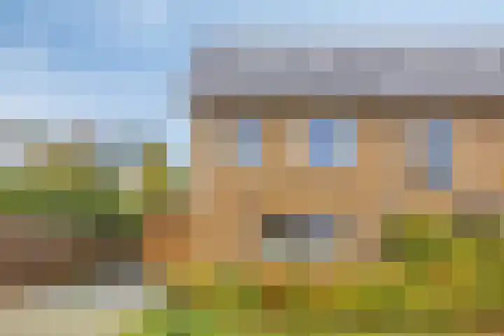 Kroepnevel 5 Zuidwolde thumbnail 47