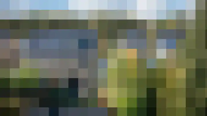 Kroepnevel 5 Zuidwolde thumbnail 52