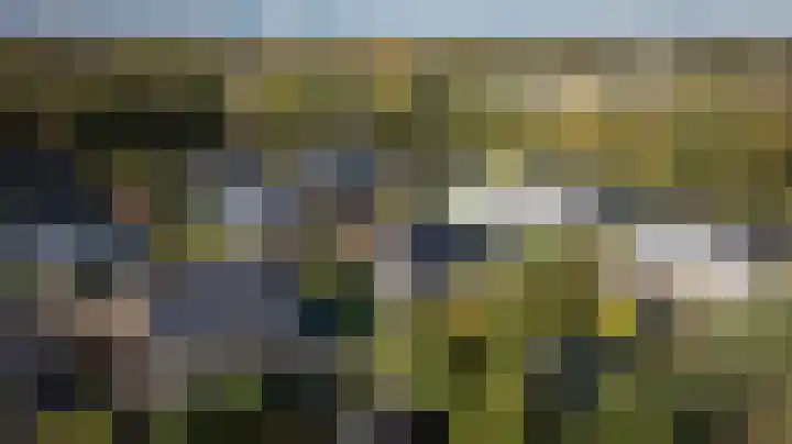 Kroepnevel 5 Zuidwolde thumbnail 54