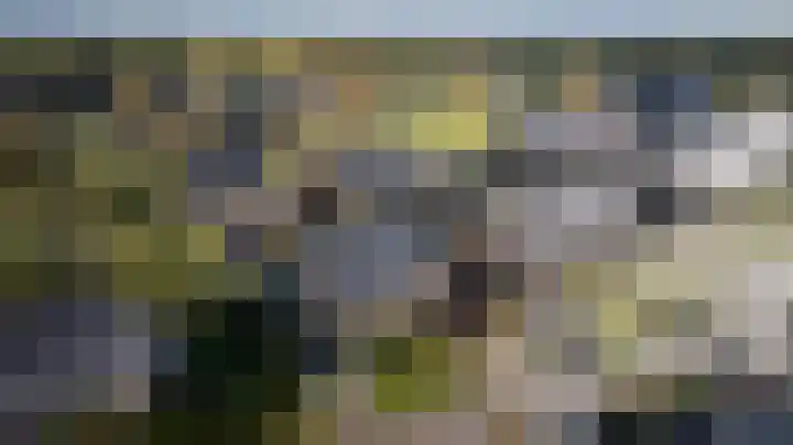 Kroepnevel 5 Zuidwolde thumbnail 55