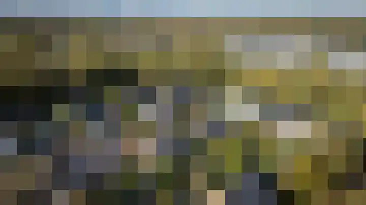 Kroepnevel 5 Zuidwolde thumbnail 57