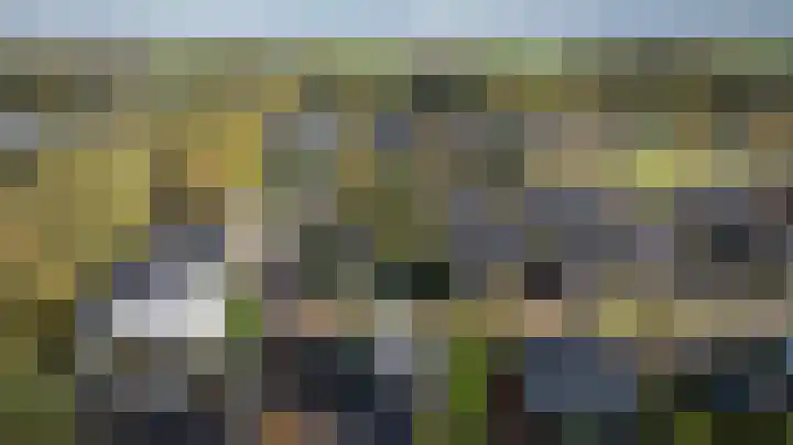 Kroepnevel 5 Zuidwolde thumbnail 58