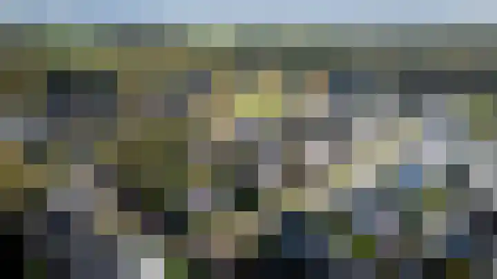 Kroepnevel 5 Zuidwolde thumbnail 59