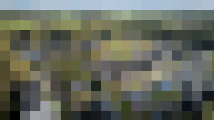 Kroepnevel 5 Zuidwolde thumbnail 60