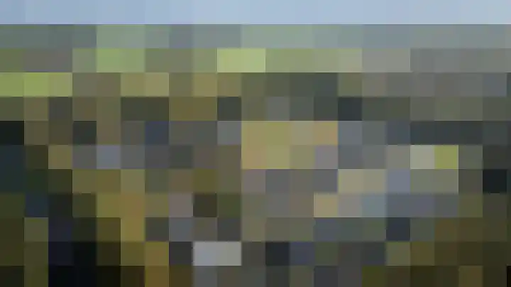 Kroepnevel 5 Zuidwolde thumbnail 61
