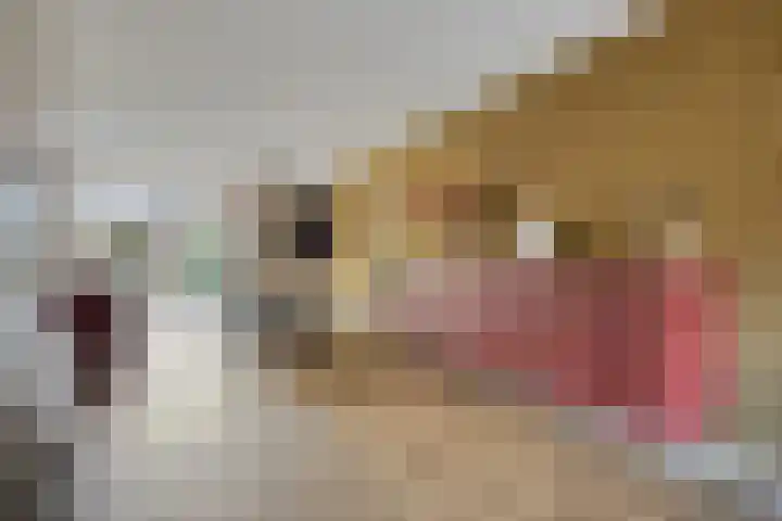 Kroepnevel 5 Zuidwolde thumbnail 9