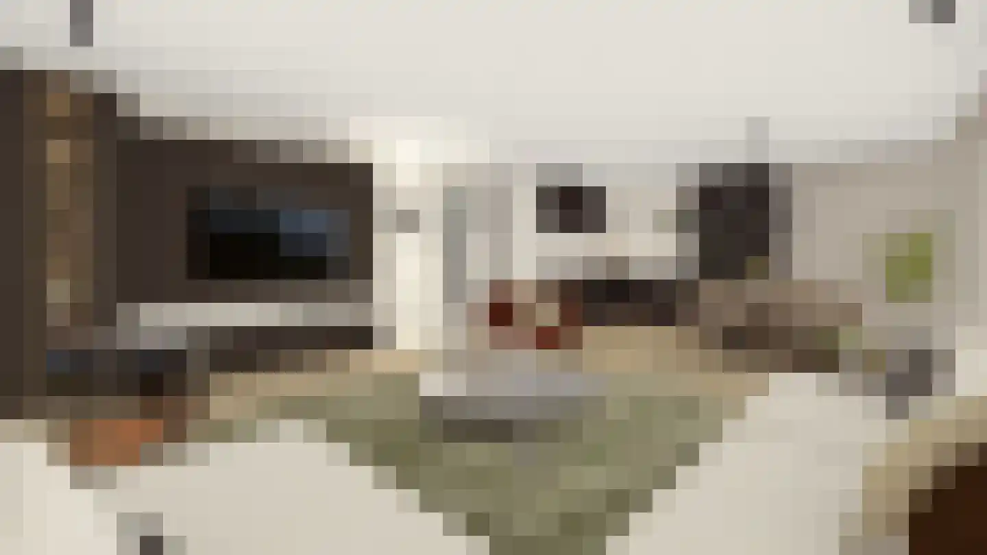 Kroepsweg de Lutte thumbnail 6
