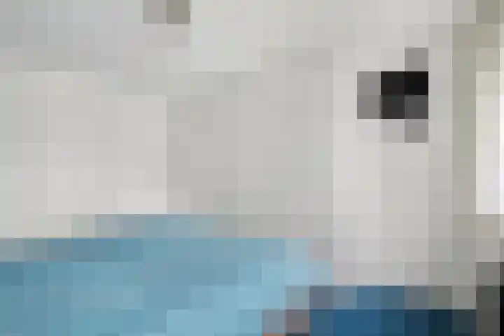 Kroesenallee 17 Zwolle thumbnail 23