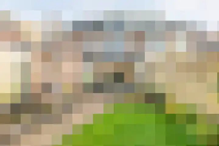 Kroesenallee 17 Zwolle thumbnail 34