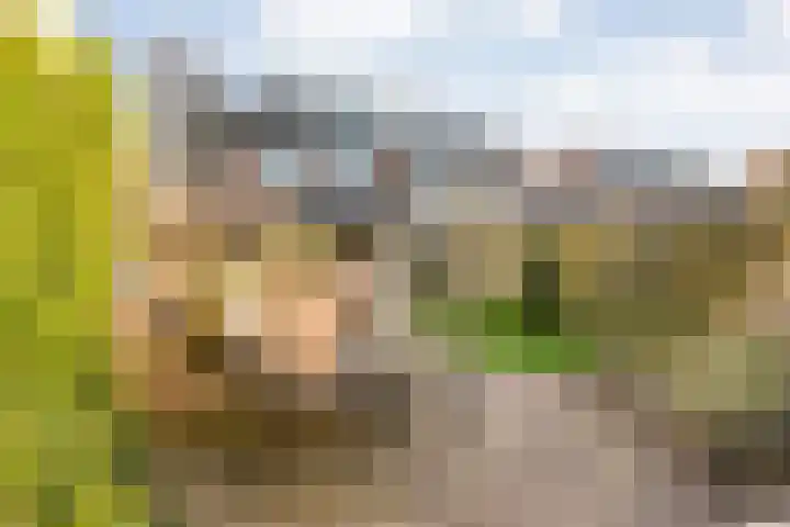 Kroesenallee 17 Zwolle thumbnail 38