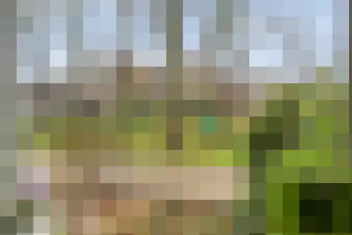 Kroesenallee 17 Zwolle thumbnail 48