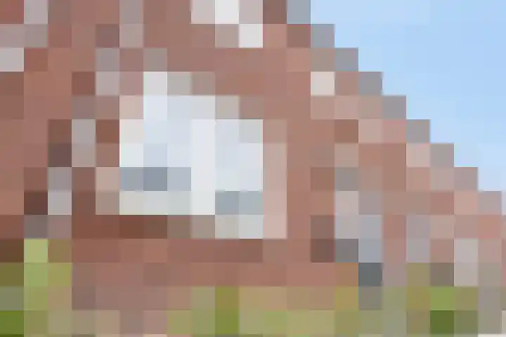 Kroesestraat 18 Almelo thumbnail 29