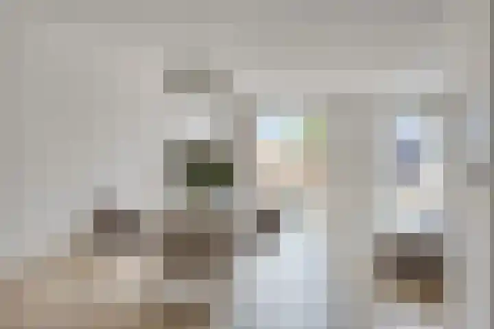 Kroesestraat 18 Almelo thumbnail 8